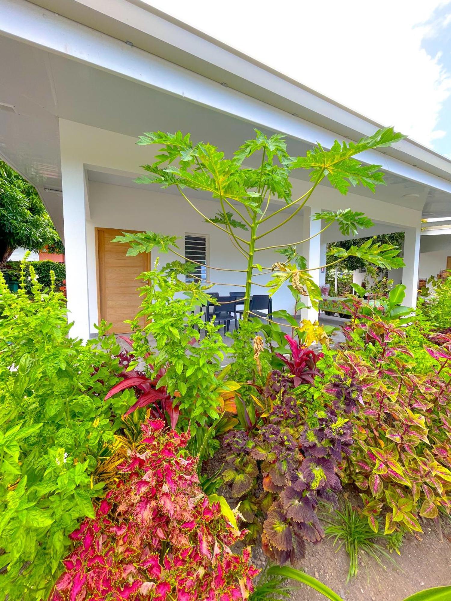 Pare Lodge Tahiti Pirae Exterior photo