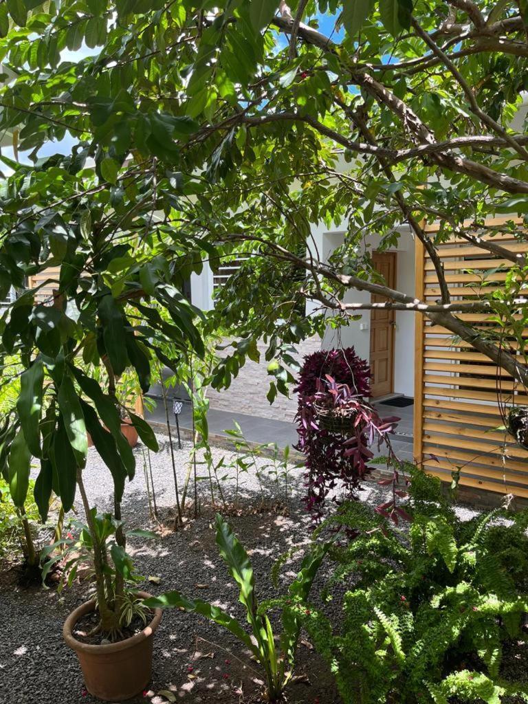 Pare Lodge Tahiti Pirae Exterior photo